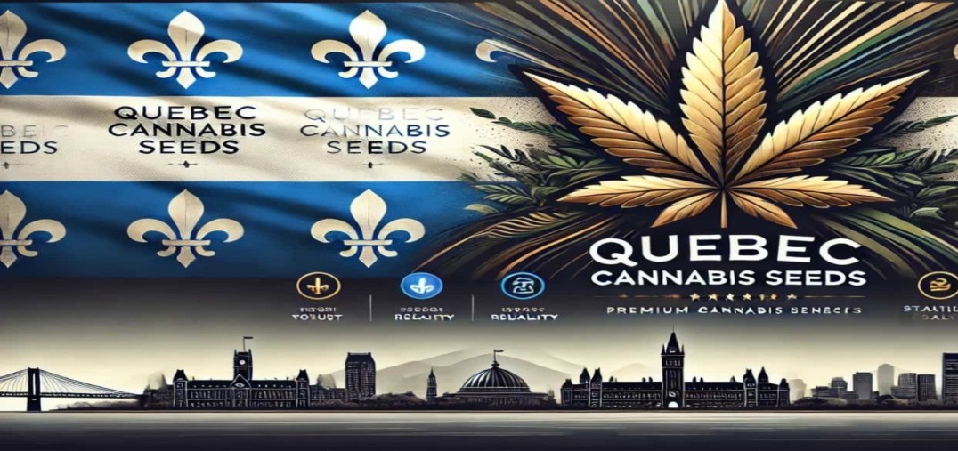 Quebec Cannabis Seeds banner with a golden cannabis leaf and the Quebec flag over the Montreal skyline