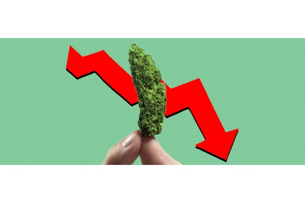 Comprendre les pauses de tolérance au cannabis