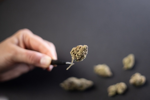 Qu’est-ce que la lyophilisation du cannabis ?