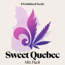 Sweet Quebec Mix Pack Cannabis Seeds Feminized