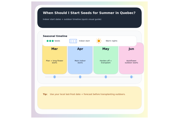 When Should I Start Cannabis Seeds for Summer in Quebec? (Indoor Start Dates + Outdoor Timeline)