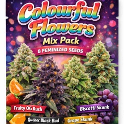 Colourful Flowers Mix Pack Feminized Cannabis Seeds