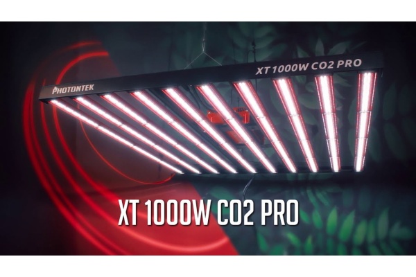 Pourquoi les lampes de culture LED PHOTONTEK font partie des meilleures du secteur