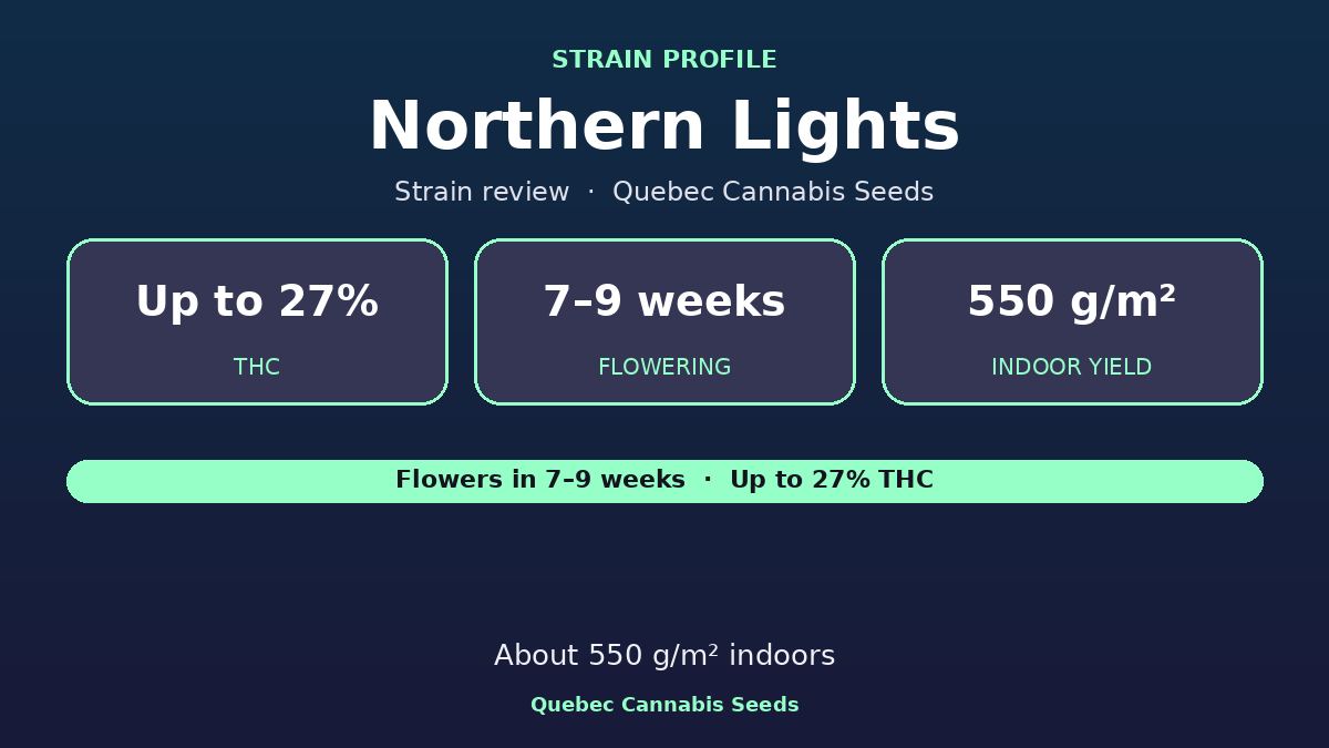 Northern Lights strain profile: up to 27% THC, 7 to 9 weeks flowering, 550 g per square metre indoors